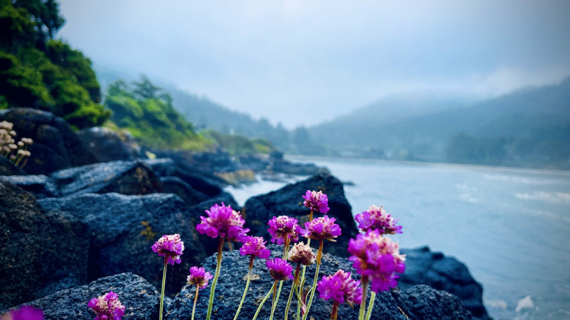 oregon coast